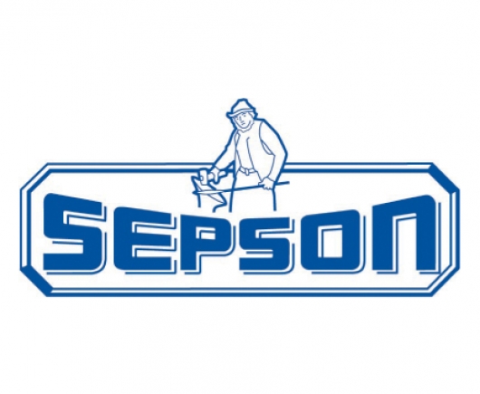 sepson_1747302793-334e0169a41dd27e34b567289e68ade7.jpg